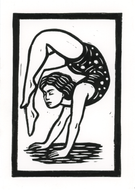The Contortionist