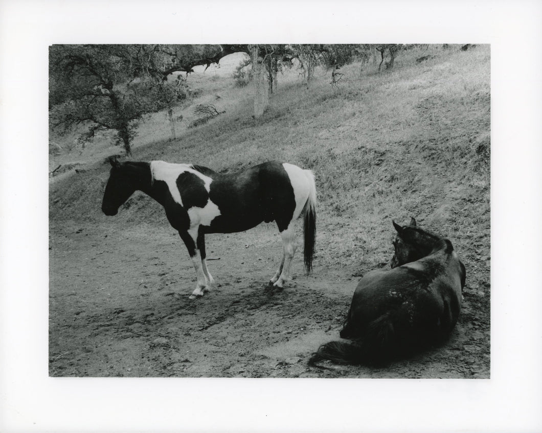 Comanche & Doc - Limited Edition Darkroom Print 8x10