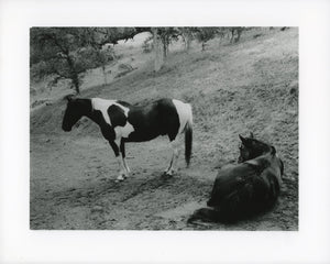 Comanche & Doc - Limited Edition Darkroom Print 11x14